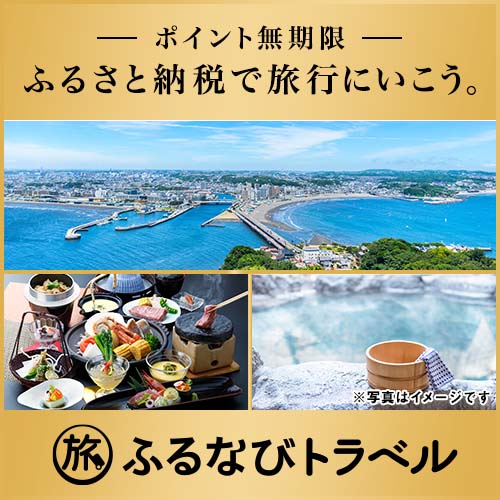 フルなびトラベル